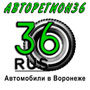 Баннер27 - Авторегион36