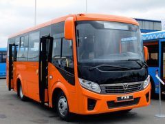 Автобус «Вектор-Next» запущен в производство на ПАЗе - Авторегион36