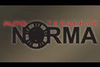 Норма (логотип) - Авторегион36