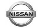 АврораАвто Nissan (логотип) - Авторегион36